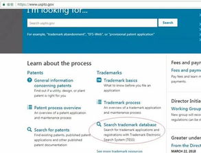 網(wǎng)頁設(shè)計(jì)產(chǎn)品上傳防侵權(quán)指南 從創(chuàng)意到合規(guī)的全程要點(diǎn)